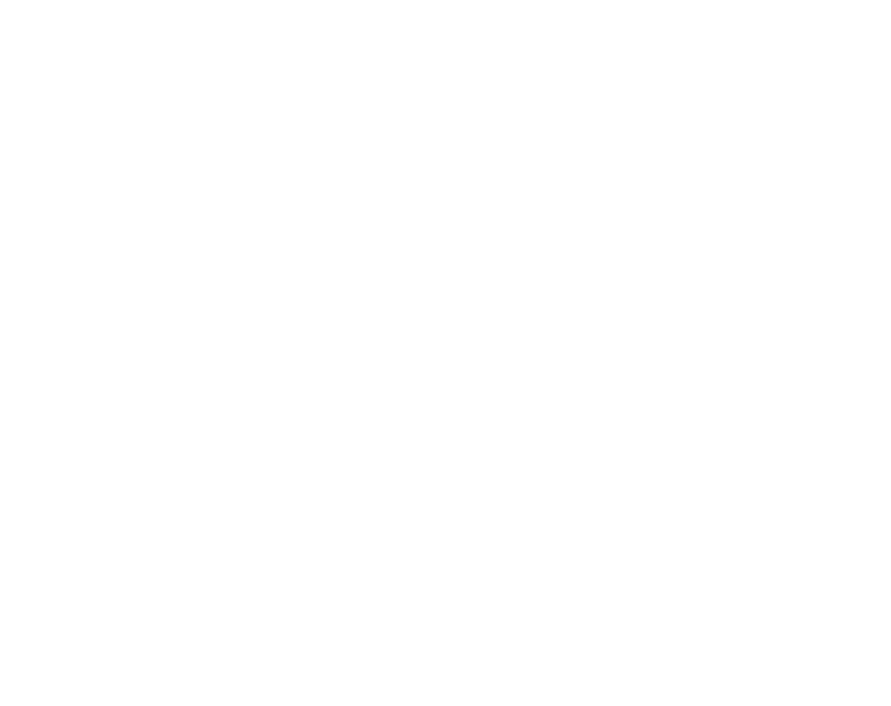 Zelvar logo